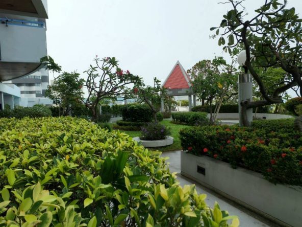 Студия_Jomtien Plaza Condotel_2