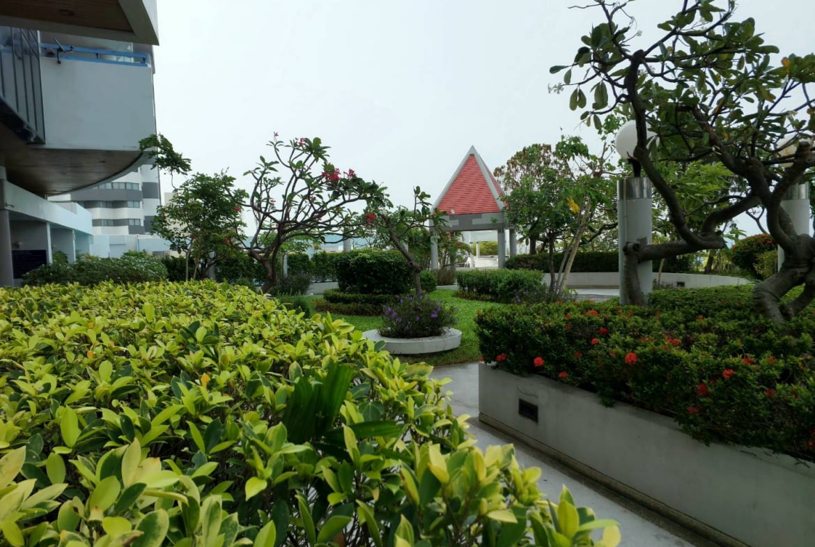 Студия_Jomtien Plaza Condotel_2