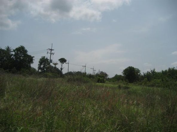 Участок_Phoenix Golf Course