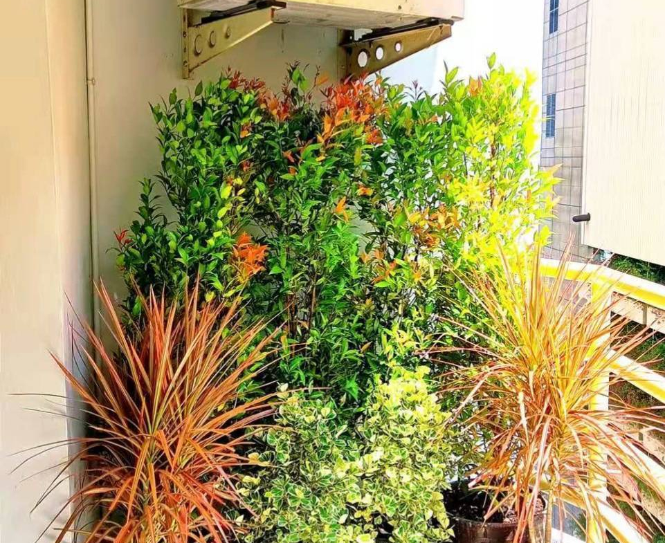 Студия_View Talay Condo 6_15