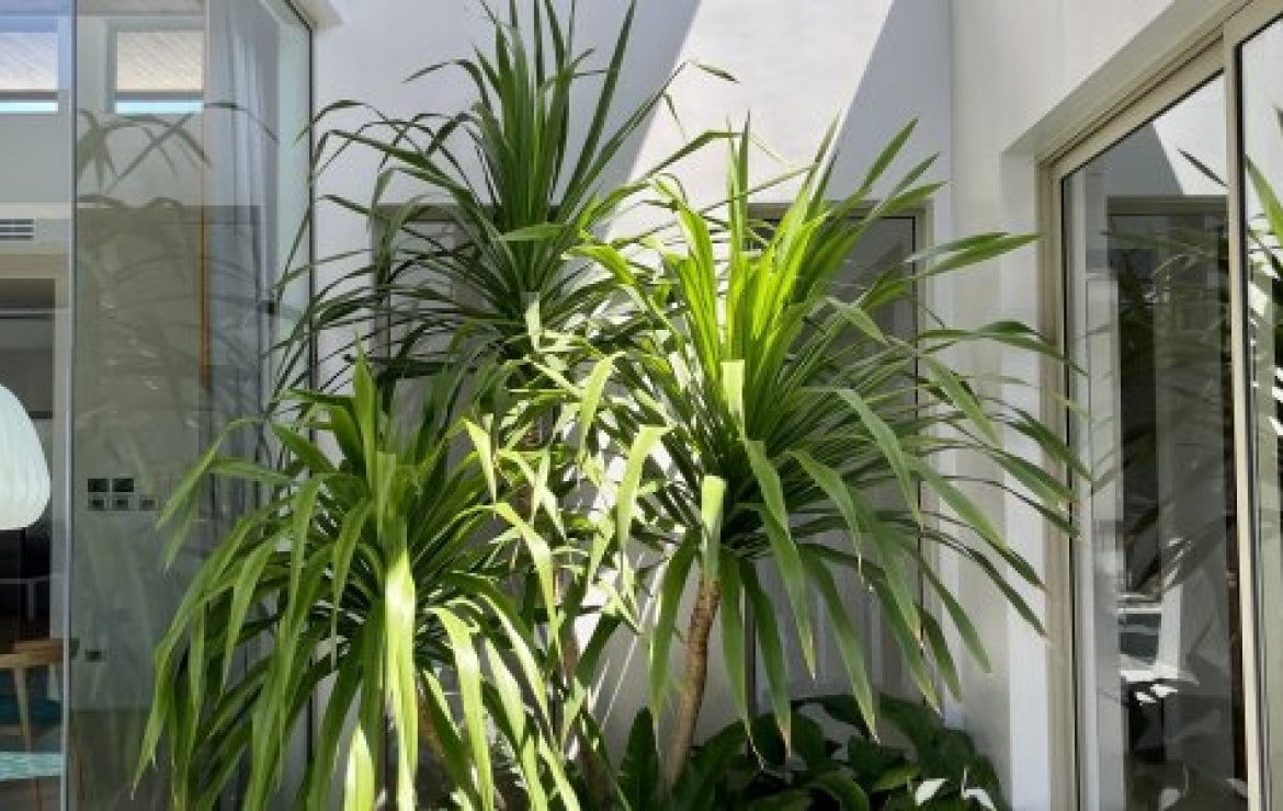 Вилла_Botanica Bangtao Beach_6