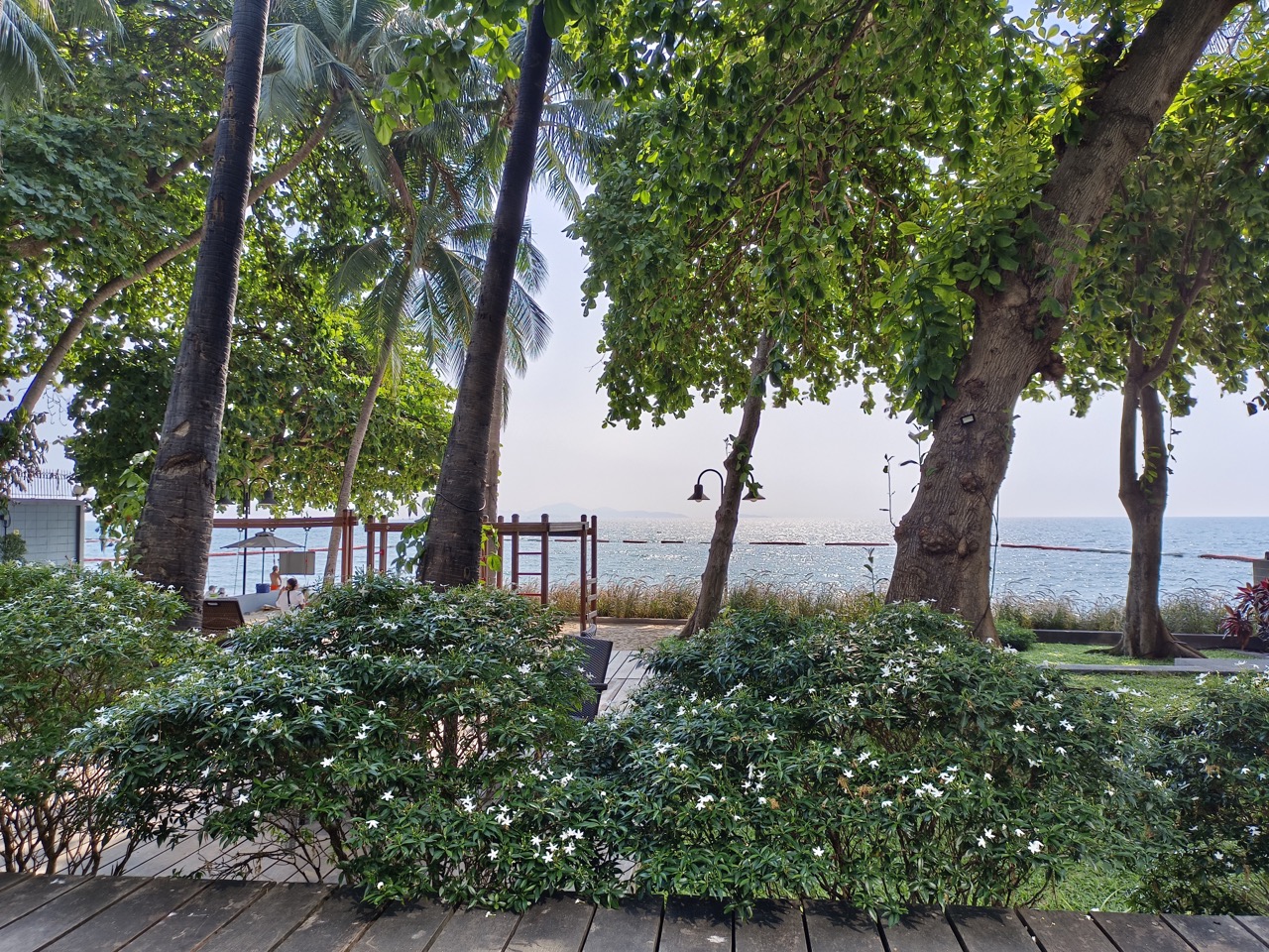ZIre_wongamat_beach