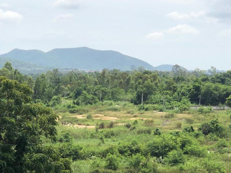 Участок_Банг Сарай_9