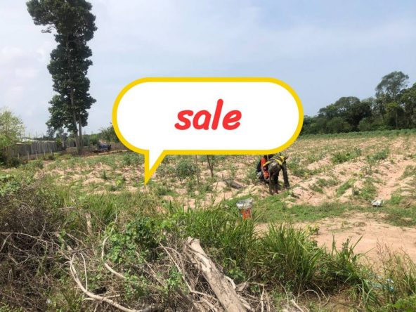 Участок_Восточная Паттайя