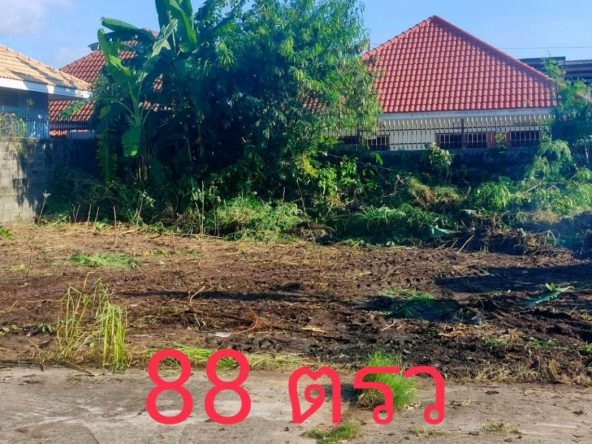Участок_Восточная Паттайя_3