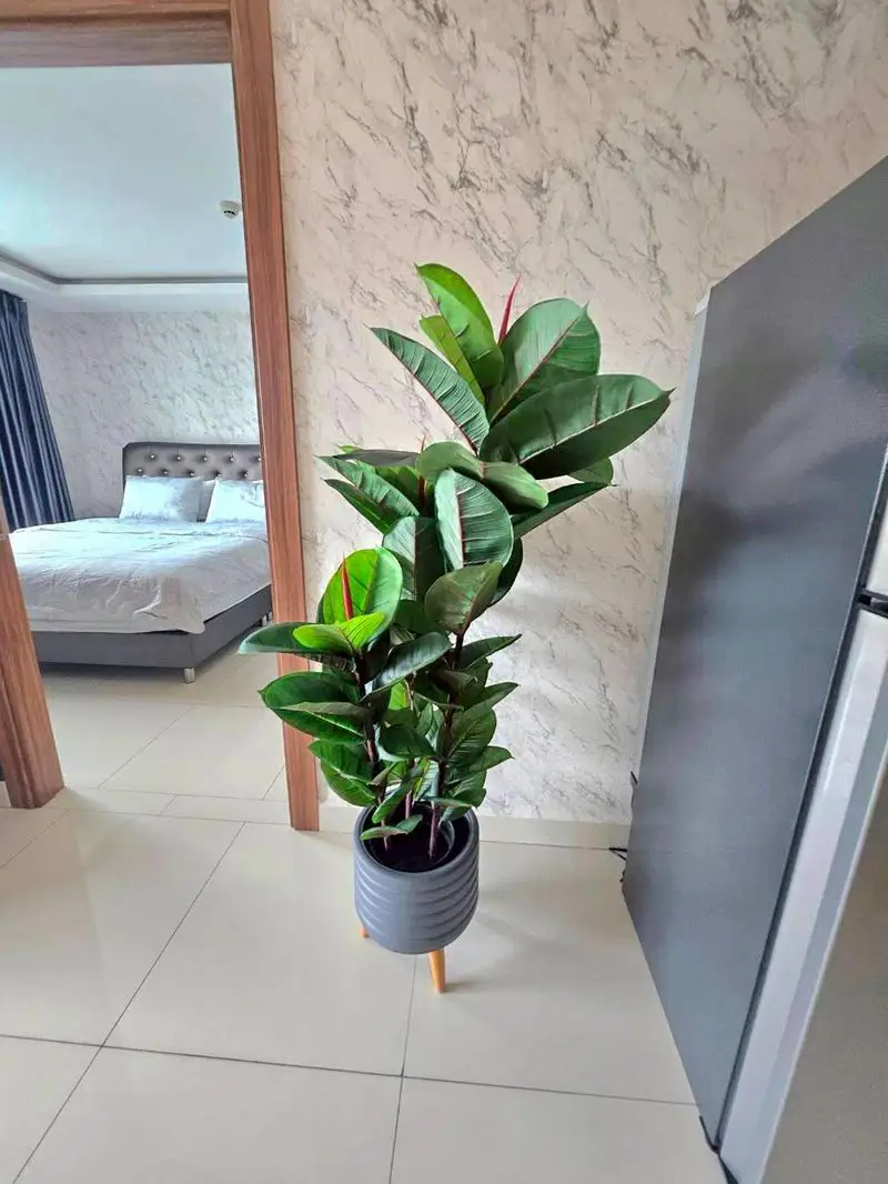 Квартира_Arcadia Beach Continental_10