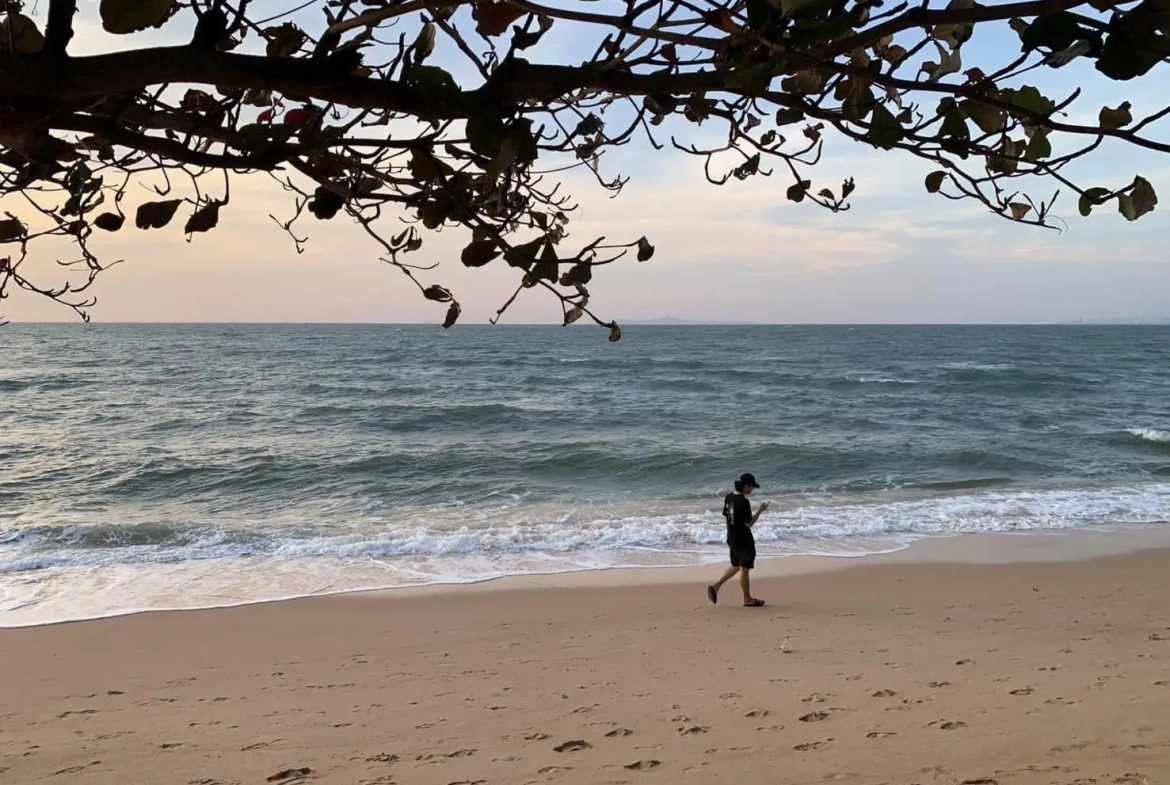 Квартира_De Amber