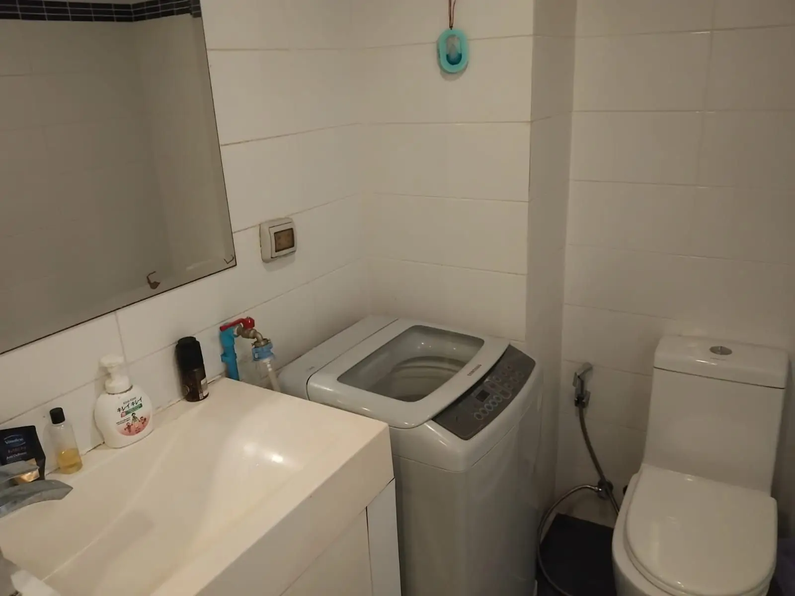 Квартира_Royal Park Village_5