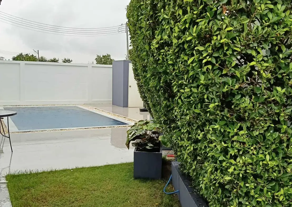 Вилла_Банг Сарай_2